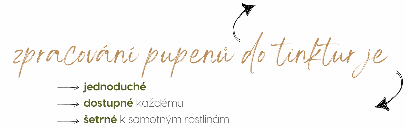 PP-ZPRACOVÁNÍ